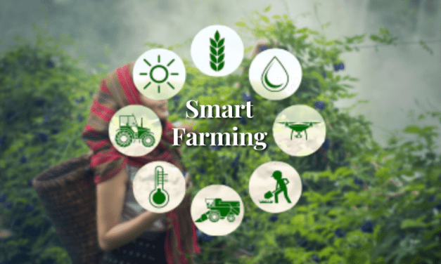 Forum Launched to Boost Climate-resilient Indian Agriculture