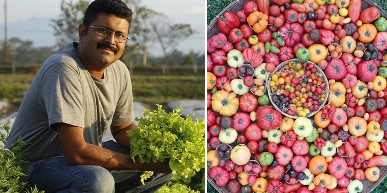 How Assam’s organic farmer is conserving 1,000 varieties of native paddy and vegetable seeds