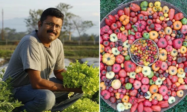 How Assam’s organic farmer is conserving 1,000 varieties of native paddy and vegetable seeds