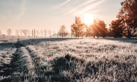 WINTER SPF: DO YOU REALLY NEED TO USE SUNSCREEN IN WINTER?