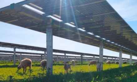 Net-Zero Targets Face Reality Check