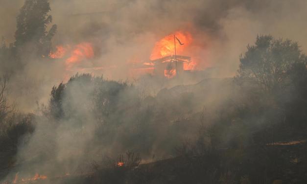Chile risks repeat of deadly wildfires because of climate change, report says