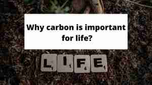 Beyond Breathing: Understanding Carbon for a Balanced Planet 1