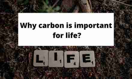 Beyond Breathing: Understanding Carbon for a Balanced Planet