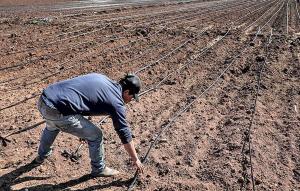 Morocco breadbasket dries up amid climate change and policy pitfalls 1