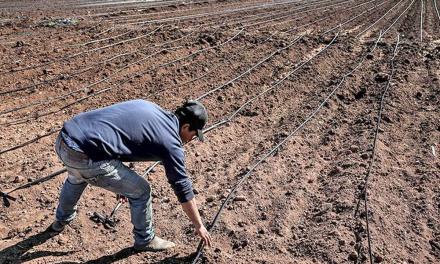 Morocco breadbasket dries up amid climate change and policy pitfalls