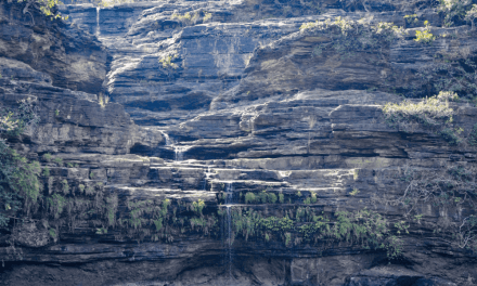 A Planetary Perspective