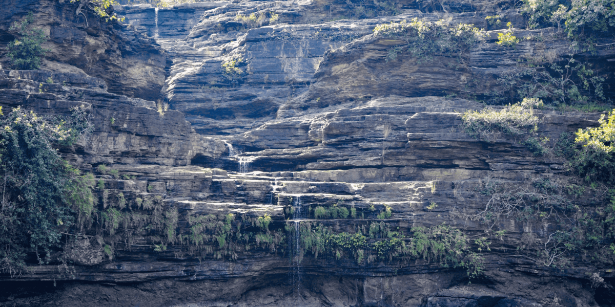 A Planetary Perspective