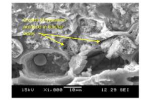 Biochar-infused concrete: A green solution for corporate sustainability 1 Biochar-infused concrete: A green solution for corporate sustainability 1