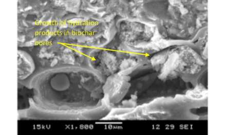 Biochar-infused concrete: A green solution for corporate sustainability
