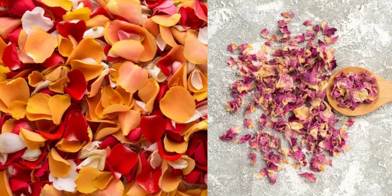 7 Skin benefits of dried rose petals
