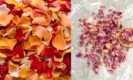7 Skin benefits of dried rose petals
