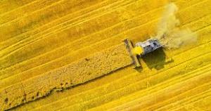 India could triple its biofuel use and accelerate global deployment 1