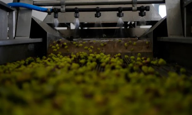 Climate change threatens EU with mass deaths and huge costs: Report