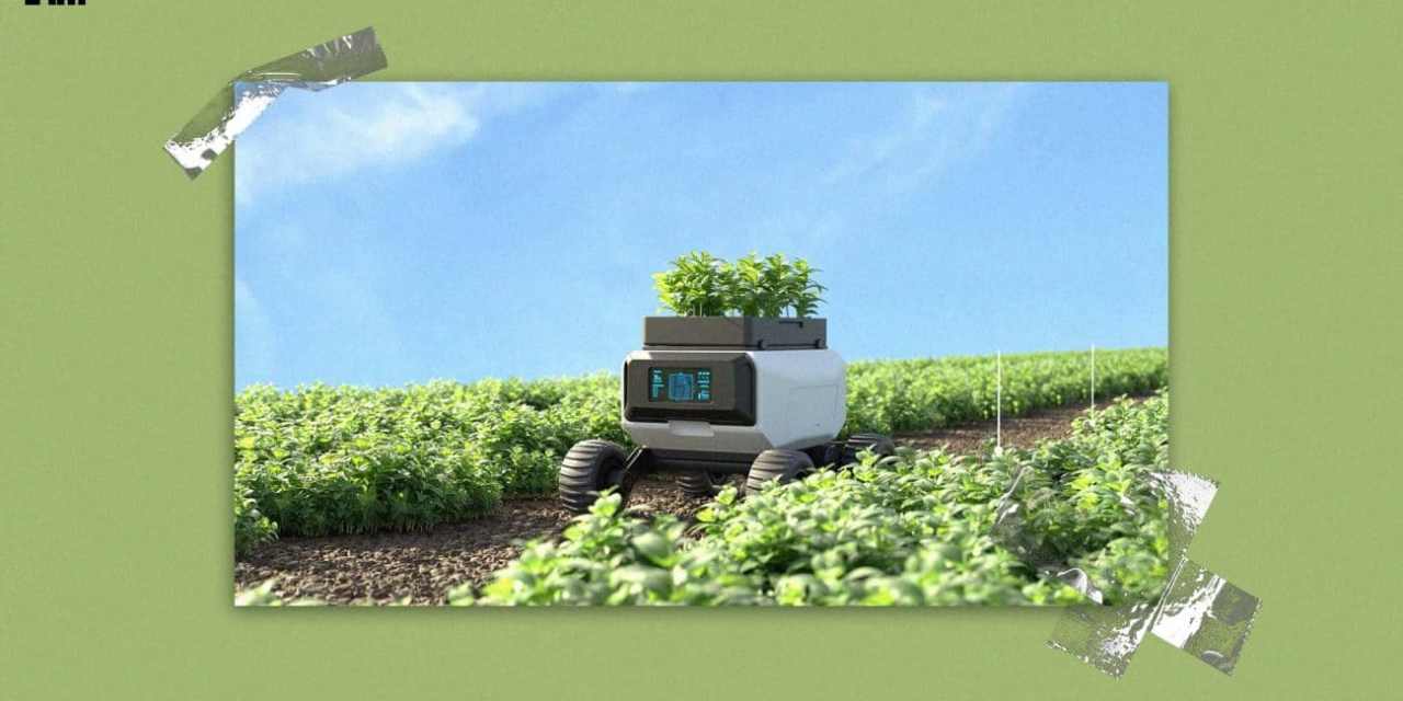 GenAI is Going to Change India’s Agriculture Forever