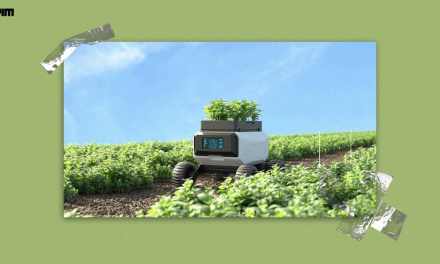 GenAI is Going to Change India’s Agriculture Forever