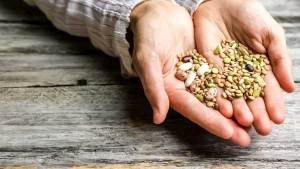 Diabetes Diet: Expert Lists Seeds That Can Regulate Blood Sugar Levels 1