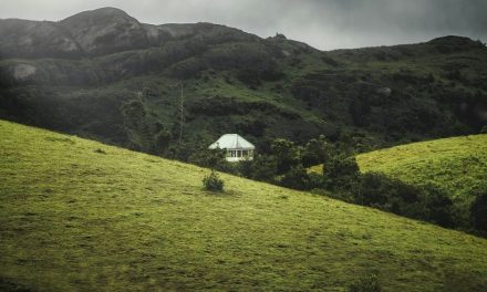 Nilgiris: Water Shortage and Climate Change Pose Threats to Biodiversity and Livelihoods