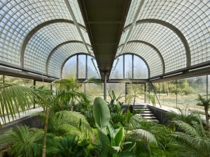 Designing for Plants: The Architecture of Greenhouses and Their Relationship with the Environment 1