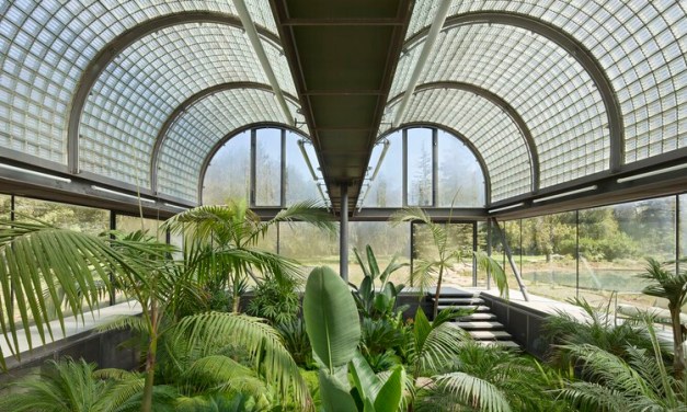 Designing for Plants: The Architecture of Greenhouses and Their Relationship with the Environment