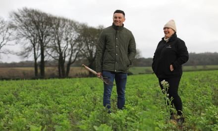 Sustainable Agriculture Gets a Push From Big Corporations