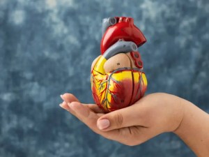 10 Food habits and diet changes to prevent heart diseases 1
