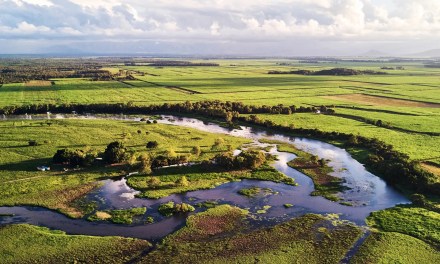 Flooding Wetlands Could Be the Next Big Carbon Capture Hack