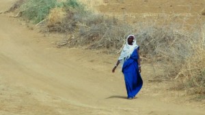 Climate change: Deadly African heatwave 'impossible' without warming 1