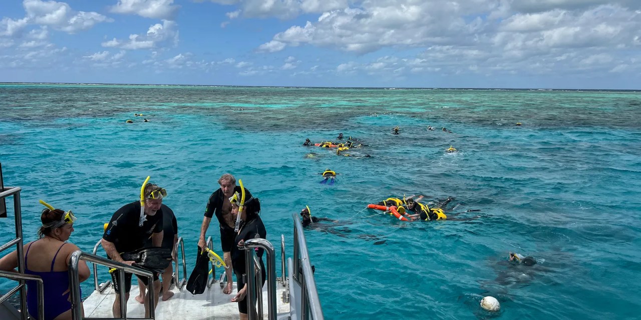 Is the Fight Against Climate Change Losing Momentum?