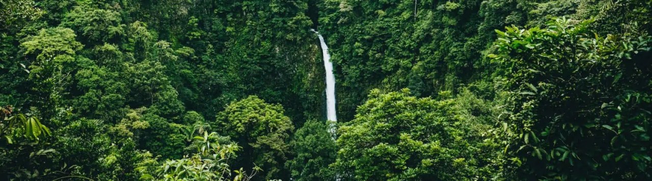 Conservation Strategies And Methods To Protect Biodiversity