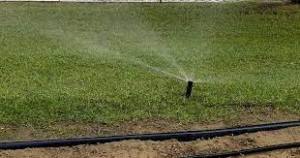 How soil moisture sensors can help irrigation in summer 1