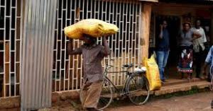 World's workers increasingly at risk as climate changes, ILO says 1