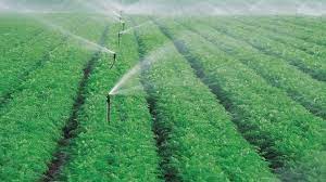 How soil moisture sensors can help irrigation in summer 2