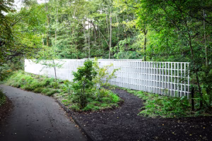 Carbon-capturing concrete walls conceal a quirky Japanese house 1