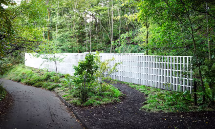 Carbon-capturing concrete walls conceal a quirky Japanese house