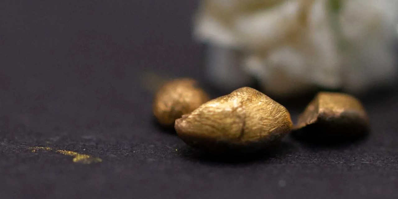 Researchers extract gold using food waste byproduct in groundbreaking method: ‘You can’t get much more sustainable than that’