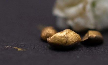 Researchers extract gold using food waste byproduct in groundbreaking method: ‘You can’t get much more sustainable than that’