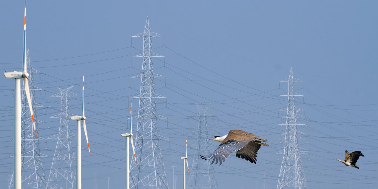 Opinion | Right Against Climate Change And The Need To Go Beyond ‘Greenwashing’