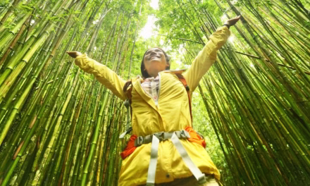 Five Great Books To Help You Understand ‘Sustainable Travel’