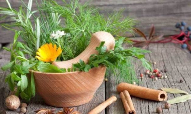 Plants “Scream” When Uprooted, Scientists Capture Sound For First Time