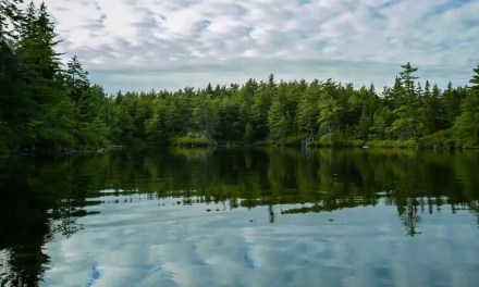 Why Is Water Conservation Important?