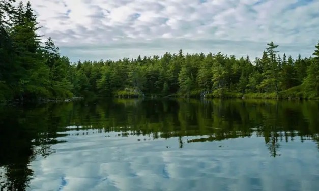 Why Is Water Conservation Important?