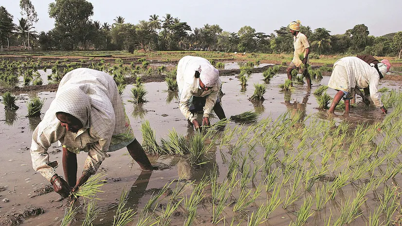 Weather reports from satellites help India's farming drive