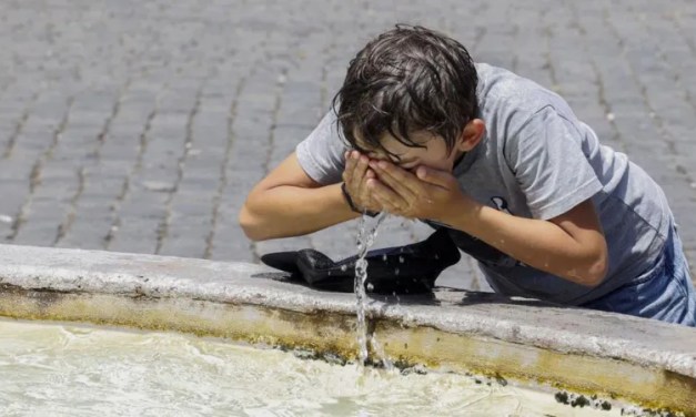 Ancient trees reveal last summer hottest in 2,000 years