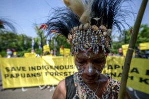 Papuans head to Indonesian court to protect forests from palm oil 1