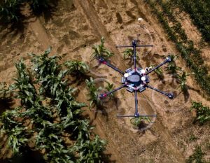 AI in the Fields: Revolutionizing Agriculture With Smart Technology 1