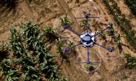 AI in the Fields: Revolutionizing Agriculture With Smart Technology