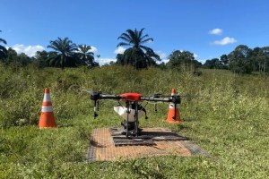 Are seed-sowing drones the answer to global deforestation? 1