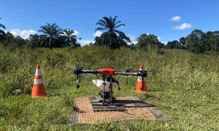 Are seed-sowing drones the answer to global deforestation?