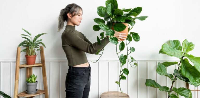 7 Lucky Plants To Incorporate Into Your Interior Decor According To Feng Shui Principles
